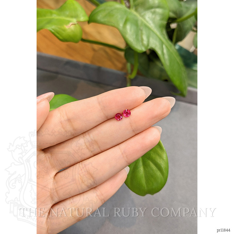 0.67 Ct.Tw. Ruby Pair from Thailand