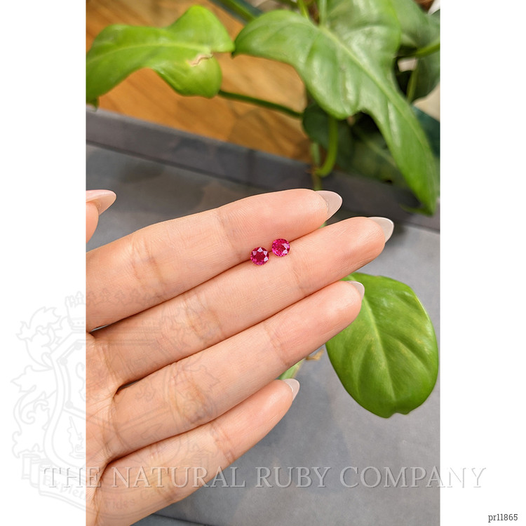 0.78 Ct.Tw. Ruby Pair from Thailand