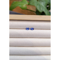 1.00&nbsp;Ct.Tw.Total Carat Weight Blue Sapphire Pair from Madagascar Life Style