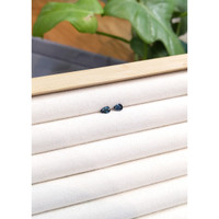 0.98&nbsp;Ct.Tw.Total Carat Weight Blue Sapphire Pair from Madagascar Life Style