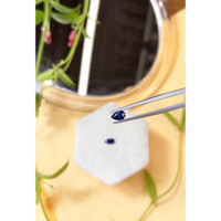 1.01&nbsp;Ct.Tw.Total Carat Weight Blue Sapphire Pair from Madagascar Life Style