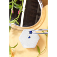 1.17&nbsp;Ct.Tw.Total Carat Weight Blue Sapphire Pair from Madagascar Life Style