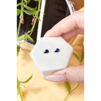 1.00&nbsp;Ct.Tw.Total Carat Weight Blue Sapphire Pair from Madagascar Life Style