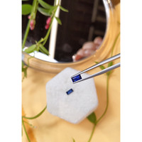 0.85&nbsp;Ct.Tw.Total Carat Weight Blue Sapphire Pair from Madagascar Life Style