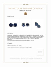 0.90 Ct.Tw.Total Carat Weight Blue Sapphire Pair from Madagascar Appraisal