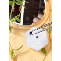 0.90&nbsp;Ct.Tw.Total Carat Weight Blue Sapphire Pair from Madagascar Life Style