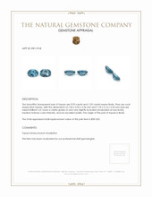 1.96 Ct.Tw.Total Carat Weight Blue Topaz Pair from Brazil Appraisal