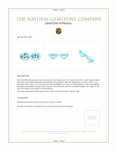 1.10&nbsp;Ct.Tw.Total Carat Weight Paraiba Tourmaline Pair from Mozambique Appraisal