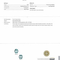 1.10 Ct.Tw.Total Carat Weight Greenish Blue Paraiba Tourmaline Pair from Mozambique Pdf