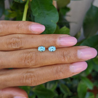 1.10 Ct.Tw.Total Carat Weight Paraiba Tourmaline Pair from Mozambique Life Style