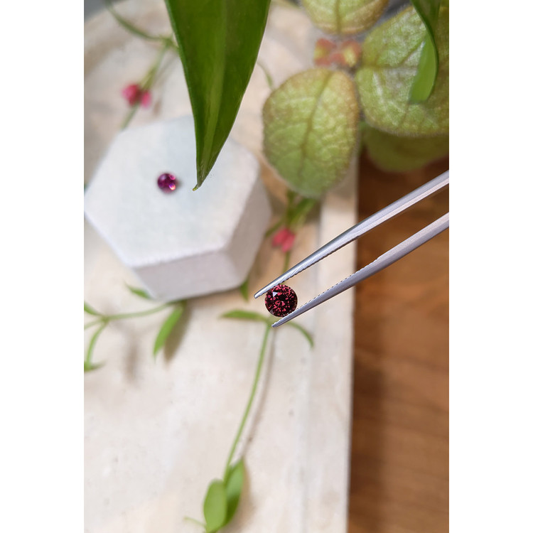 1.76 Ct.Tw. Garnet Pair from Tanzania