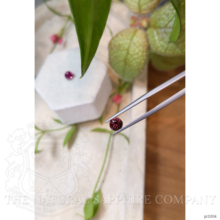 1.76 Ct.Tw. Garnet Pair from Ceylon (Sri Lanka)
