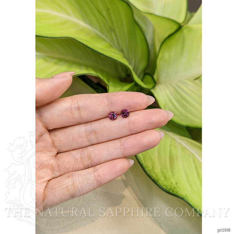 1.76 Ct.Tw. Garnet Pair from Ceylon (Sri Lanka)