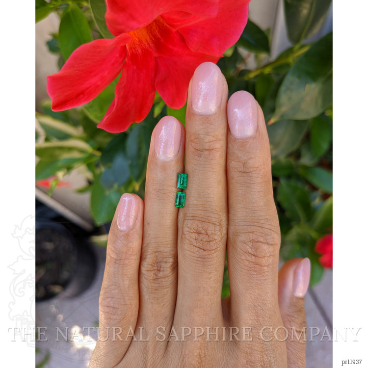 0.54 Ct.Tw. Emerald Pair from Afghanistan