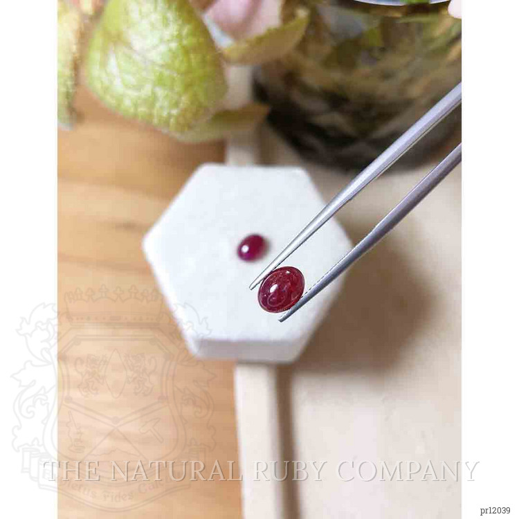 3.74 Ct.Tw. Cabochon Ruby Pair from Mozambique