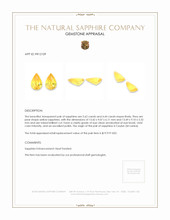 10.06 Ct.Tw.Total Carat Weight Yellow Sapphire Pair from Ceylon (Sri Lanka) Appraisal