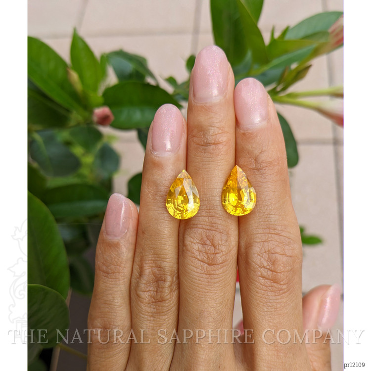 10.06 Ct.Tw. Yellow Sapphire Pair from Ceylon (Sri Lanka)