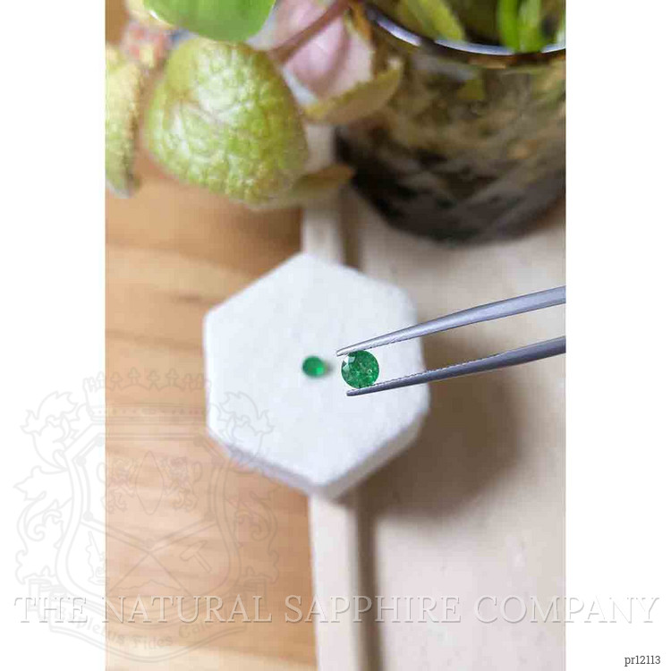 1.07 Ct.Tw. Emerald Pair from Zambia