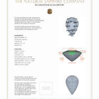 2.82&nbsp;Ct.Tw.Total Carat Weight Blue Sapphire Pair from Ceylon (Sri Lanka) 3 D Scan Report