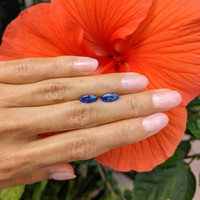 2.35&nbsp;Ct.Tw.Total Carat Weight Blue Sapphire Pair from Ceylon (Sri Lanka) Life Style