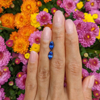 2.26&nbsp;Ct.Tw.Total Carat Weight Blue Sapphire Pair from Madagascar Life Style