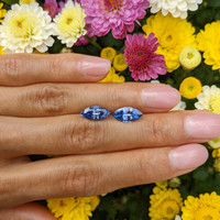 4.15&nbsp;Ct.Tw.Total Carat Weight Blue Sapphire Pair from Madagascar Life Style