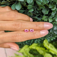 1.63&nbsp;Ct.Tw.Total Carat Weight Pink Sapphire Pair from Ceylon (Sri Lanka) Life Style