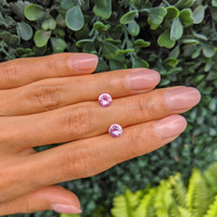 1.77&nbsp;Ct.Tw.Total Carat Weight Pink Sapphire Pair from Ceylon (Sri Lanka) Life Style