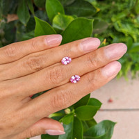 1.90&nbsp;Ct.Tw.Total Carat Weight Pink Sapphire Pair from Ceylon (Sri Lanka) Life Style