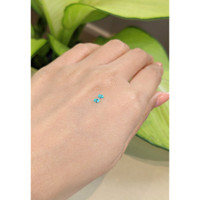 0.12&nbsp;Ct.Tw.Total Carat Weight Paraiba Tourmaline Pair from Brazil Life Style