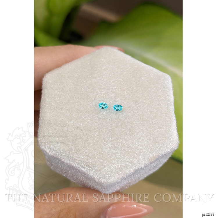 0.12 Ct.Tw. Paraiba Tourmaline Pair from Brazil