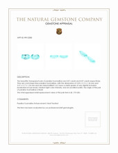 0.14&nbsp;Ct.Tw.Total Carat Weight Paraiba Tourmaline Pair from Brazil Appraisal