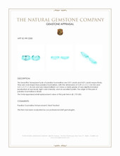 0.14 Ct.Tw.Total Carat Weight Paraiba Tourmaline Pair from Brazil Appraisal