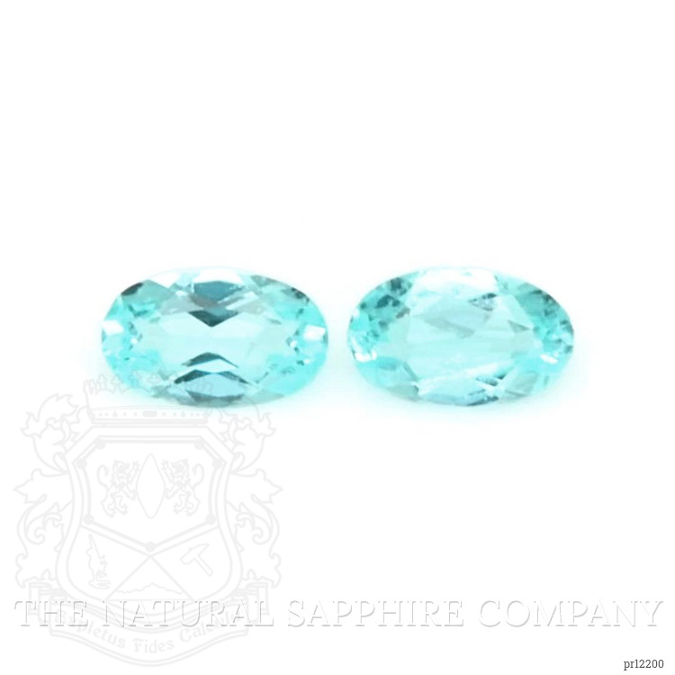 0.14 Ct.Tw. Paraiba Tourmaline Pair from Brazil