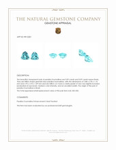0.18 Ct.Tw.Total Carat Weight Greenish Blue Paraiba Tourmaline Pair from Brazil Appraisal