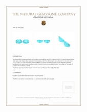 0.23&nbsp;Ct.Tw.Total Carat Weight Paraiba Tourmaline Pair from Brazil Appraisal