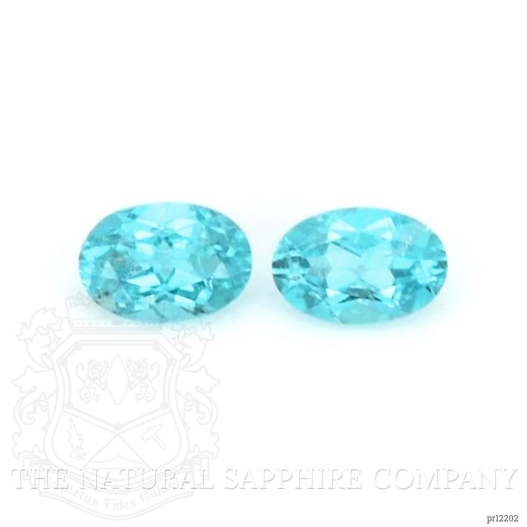 0.23 Ct.Tw. Paraiba Tourmaline Pair from Brazil
