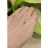 0.23 Ct.Tw.Total Carat Weight Paraiba Tourmaline Pair from Brazil Life Style
