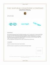 0.27&nbsp;Ct.Tw.Total Carat Weight Paraiba Tourmaline Pair from Brazil Appraisal