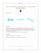 0.27 Ct.Tw.Total Carat Weight Paraiba Tourmaline Pair from Brazil Appraisal