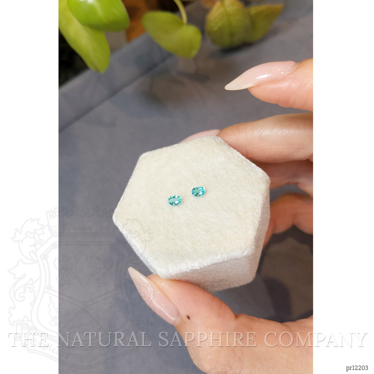 0.27 Ct.Tw. Paraiba Tourmaline Pair from Brazil