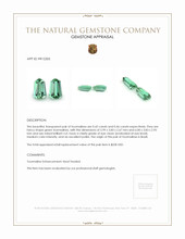 0.88&nbsp;Ct.Tw.Total Carat Weight Tourmaline Pair from Brazil Appraisal