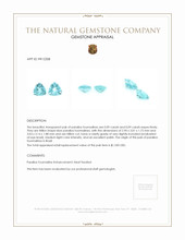 0.18&nbsp;Ct.Tw.Total Carat Weight Paraiba Tourmaline Pair from Brazil Appraisal