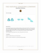 0.18 Ct.Tw.Total Carat Weight Paraiba Tourmaline Pair from Brazil Appraisal