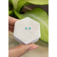 0.18&nbsp;Ct.Tw.Total Carat Weight Paraiba Tourmaline Pair from Brazil Life Style