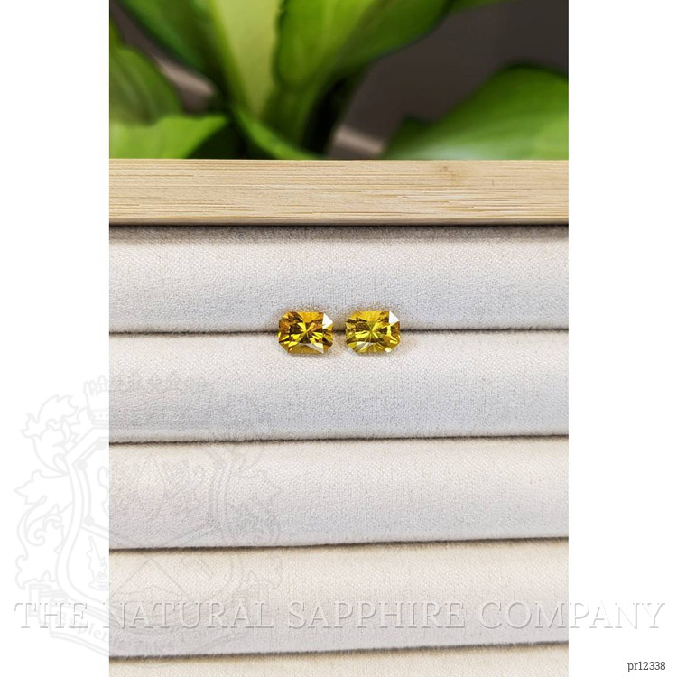 2.62 Ct.Tw. Beryl Pair