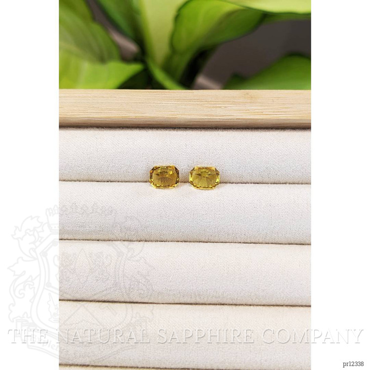 2.62 Ct.Tw. Beryl Pair