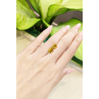 2.62 Ct.Tw.Total Carat Weight Beryl Pair Life Style