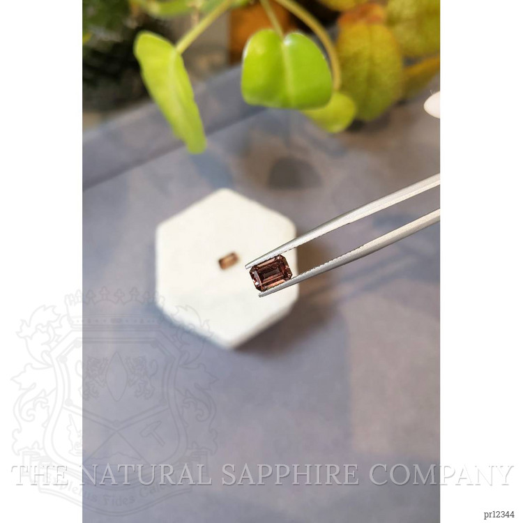 2.57 Ct.Tw. Garnet Pair from Madagascar