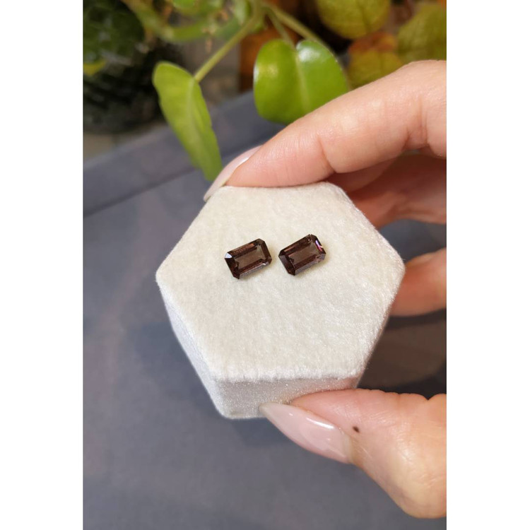 4.23 Ct.Tw. Garnet Pair from Madagascar